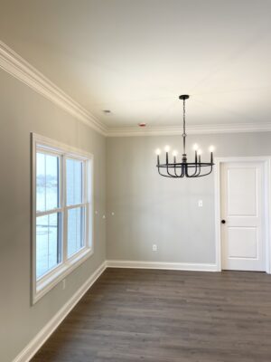 UNADJUSTEDNONRAW thumb f1